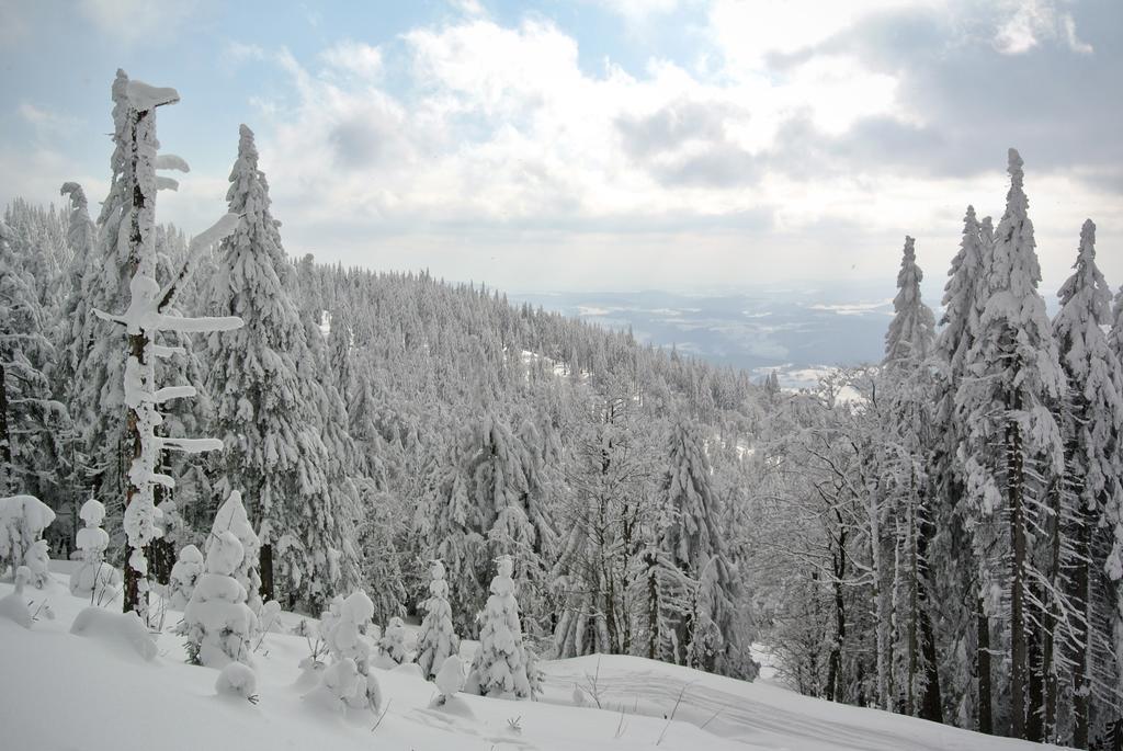 Chalupa Na Peci Želnava Chambre photo