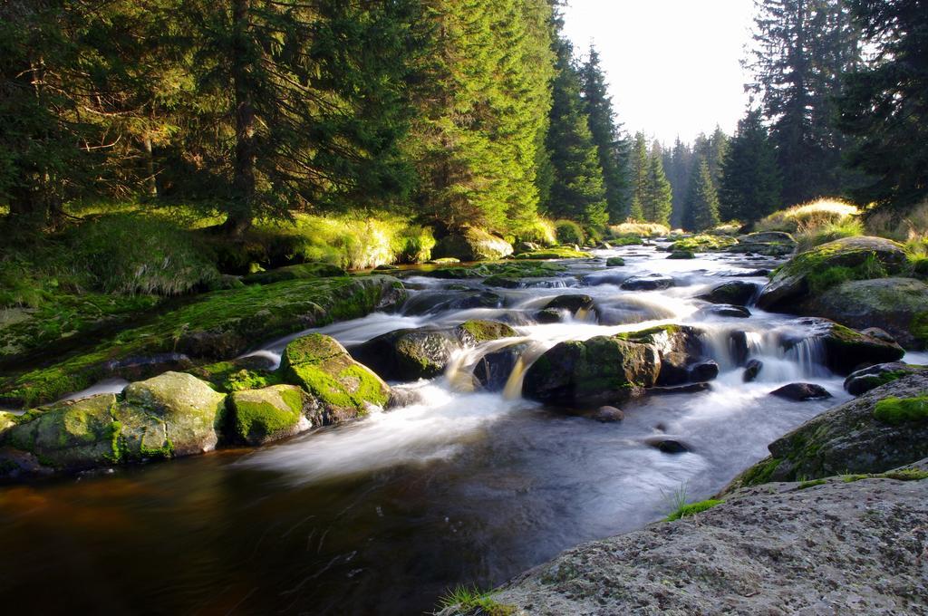 Chalupa Na Peci Želnava Chambre photo