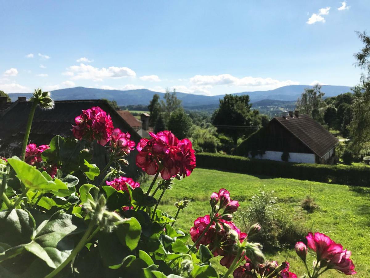 Chalupa Na Peci Želnava Extérieur photo